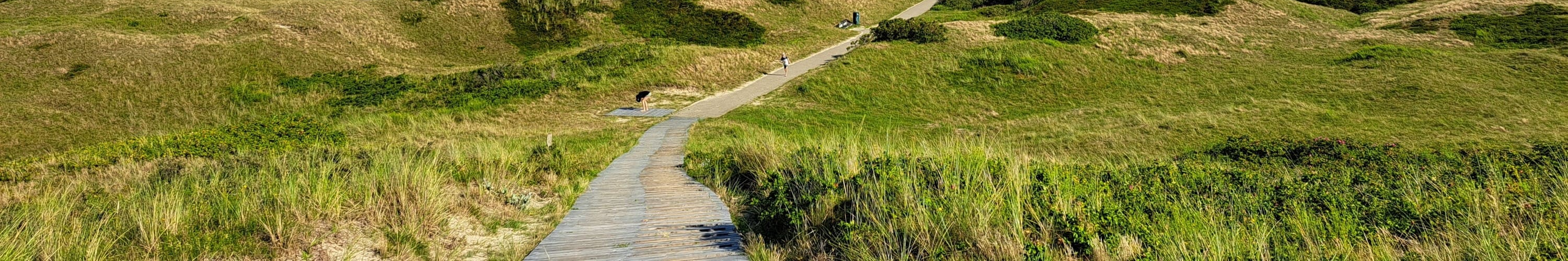 Landschaft Umgebung